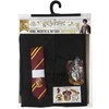 Vision Cinereplicas Harry Potter Brave (Grifindoras) burtininko chalatas, S dydis