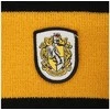 Ausinės Vision Harry Potter Hario Poterio skara Hufflepuff