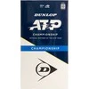 Dunlop Sport Dunlop ATP čempionatas - teniso kortos, 8 vnt.