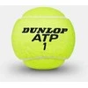 Dunlop Sport Dunlop ATP čempionatas - teniso kortos, 8 vnt.