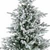 Everlands Grandis fir aidonnäköinen lumikuusi, 180 cm