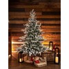 Everlands Grandis fir aidonnäköinen lumikuusi, 180 cm