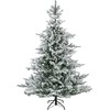 Everlands Grandis fir aidonnäköinen lumikuusi, 180 cm