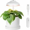 Enne Interior Enne Bijou Grow -kasvivalaisin,USB, 5 W, 240 lm, valkoinen