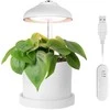 Enne Interior Enne Bijou Grow -kasvivalaisin,USB, 5 W, 240 lm, valkoinen