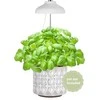 Enne Interior Enne Bijou Grow -kasvivalaisin,USB, 5 W, 240 lm, valkoinen
