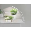 Enne Interior Enne Duo Grow -kasvivalaisin, 16 W, 780 lm, valkoinen