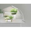 Enne Interior Enne Duo Grow -kasvivalaisin, 16 W, 780 lm, valkoinen