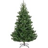 Everlands Alba fir aidonnäköinen joulukuusi, 210 cm