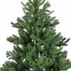 Everlands Alba fir aidonnäköinen joulukuusi, 210 cm