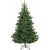 Everlands Alba fir aidonnäköinen joulukuusi, 210 cm