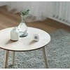 Eve Systems „Eve Home Ieva“ – termokontrolė / „HomeKit“