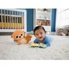 Mattel Fisher-Price – „Sensimals Activity Plush Otter“ – (972-2452)