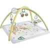 „Fisher Price Newborn“ – „Simply Senses“ naujagimio sporto salė (HRB15)