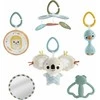 „Fisher Price Newborn“ – „Simply Senses“ naujagimio sporto salė (HRB15)