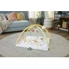„Fisher Price Newborn“ – „Simply Senses“ naujagimio sporto salė (HRB15)