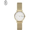 Laikrodis Fossil Skagen Signatur SKW2693 -rannekello, 30 mm