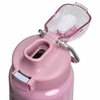 Gertuvė Stanley The Wellspring termosinis butelis, 0,71 l, purpurinio dūmo spalvos