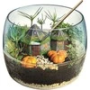 Harry Potter Clementoni Hagrid's Hut Terrarium -kasvatussetti