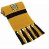 Ausinės Vision Harry Potter Hario Poterio skara Hufflepuff