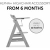 Hauck Alpha Click Tray stalas Alpha ir Beta kėdėms