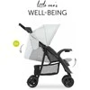 Hauck Shopper Neo II -matkarattaat, Pilkas