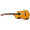 Ibanez GA3ECE-OAM kitara mikrofonilla