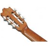 Ibanez GA3ECE-OAM kitara mikrofonilla