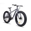 Dviratis Insera Muffle 26 Fatbike, 48 cm, pilkas