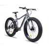 Dviratis Insera Muffle 26 Fatbike, 48 cm, pilkas