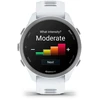 Išmanusis laikrodis Garmin Forerunner 170 Music, Whitestone with Whitestone/Cloud Mėlyna Band