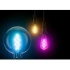 Ledvance 4,5W LED lemputė SMART+ Filament Classic Pritemdoma 30, E27, 2700K
