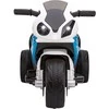 Leggodt Asilas – elektrinis motociklas BMW S1000 (6950107)