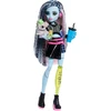 Lėlė su aksesuarais „Monster High Frenkė“, JHK31