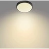 Lubinis šviestuvas Šviestuvas lubų Philips Doris, 17W, 2700°K, LED, juodas