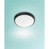 Lubinis šviestuvas Šviestuvas lubų Philips Doris, 17W, 2700°K, LED, juodas