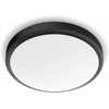 Lubinis šviestuvas Šviestuvas lubų Philips Doris, 17W, 2700°K, LED, juodas