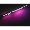 Lubinis šviestuvas Philips Hue Perifo 3xcylinder spot + balta lubų juosta
