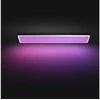 Lubinis šviestuvas „Philips Hue Surimu“ stačiakampis panelinis šviestuvas, 120 x 30 cm | 2000–6500 „Hue Baltas Color Ambiance“ | „Bluetooth“, „Zigbee“