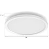 Lubinis šviestuvas „Philips Hue Surimu“ apvalus panelinis šviestuvas, 39,5 cm | „Bluetooth“, „Zigbee“