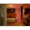 Lubinis šviestuvas Philips Hue WACA Xamento M LED lubų šviestuvas 33,5 W baltas