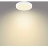Lubinis šviestuvas Šviestuvas plafonas Philips MAGNEOS, 20 W, LED, 2700 °K