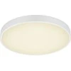 Lubinis šviestuvas Šviestuvas Trio WACO, lubinis, 52.5 W, LED