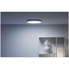 Lubinis šviestuvas WiZ Rune RGB,21W,2700-6500 (RGB),IP20,juodas