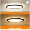 Lempa WiZ Smart WiFi SuperSlim, 545mm, Juodas | 32 W | 2200-6500 K (RGB)