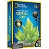 National Geographic - Glow in Dark Crystal Growing (29-4001)