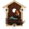 SES Bird Explore – prie lango montuojamas paukščių namelis
