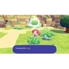 Nintendo Switch 2 game Nintendo Pokemon Pokopia