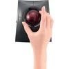 Pelė Leitz KENSINGTON SlimBlade Pro Trackball