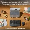 Pelė Grafitas Logitech M575S